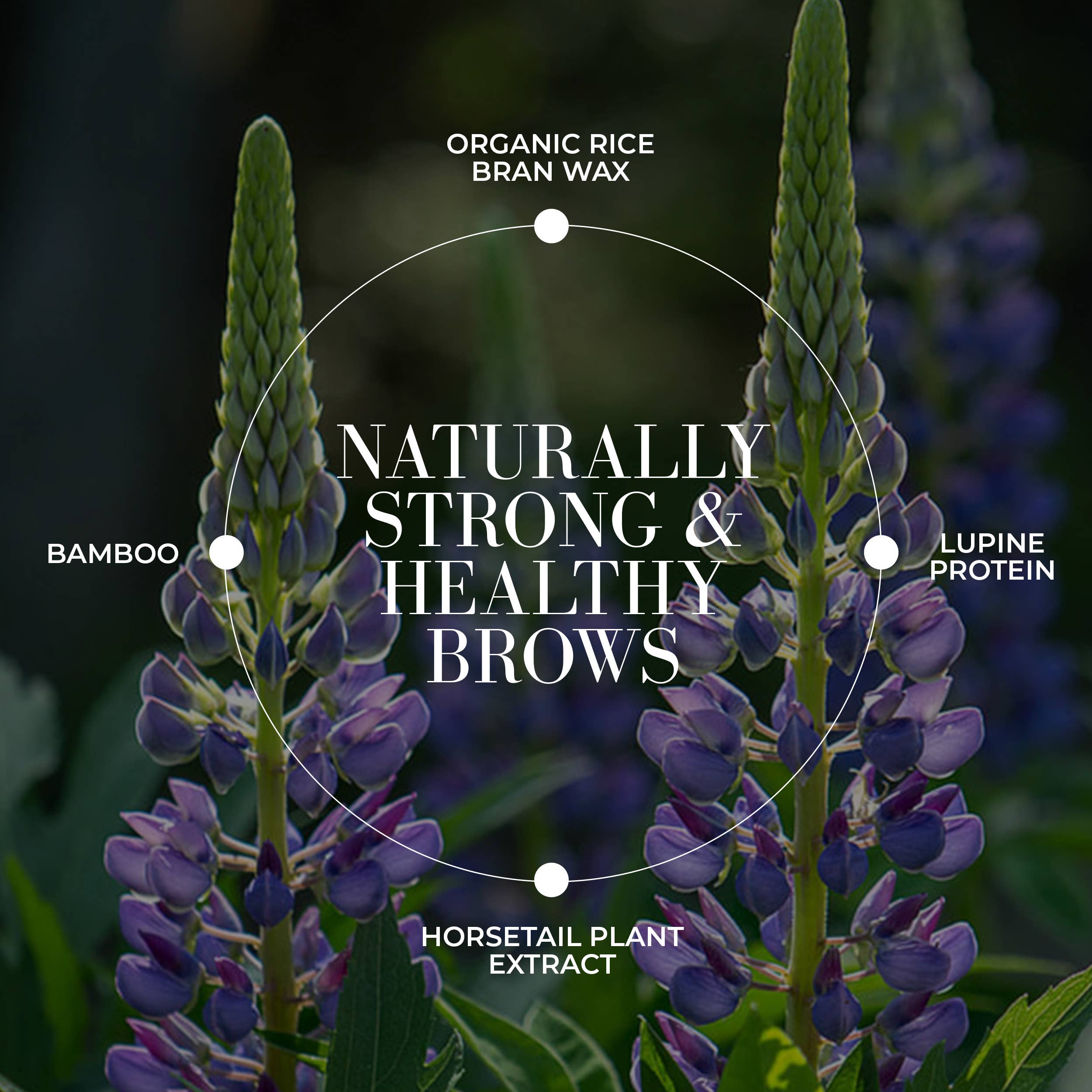 Fitglow Beauty - Plant Protein Brow Gel: Dark Brown