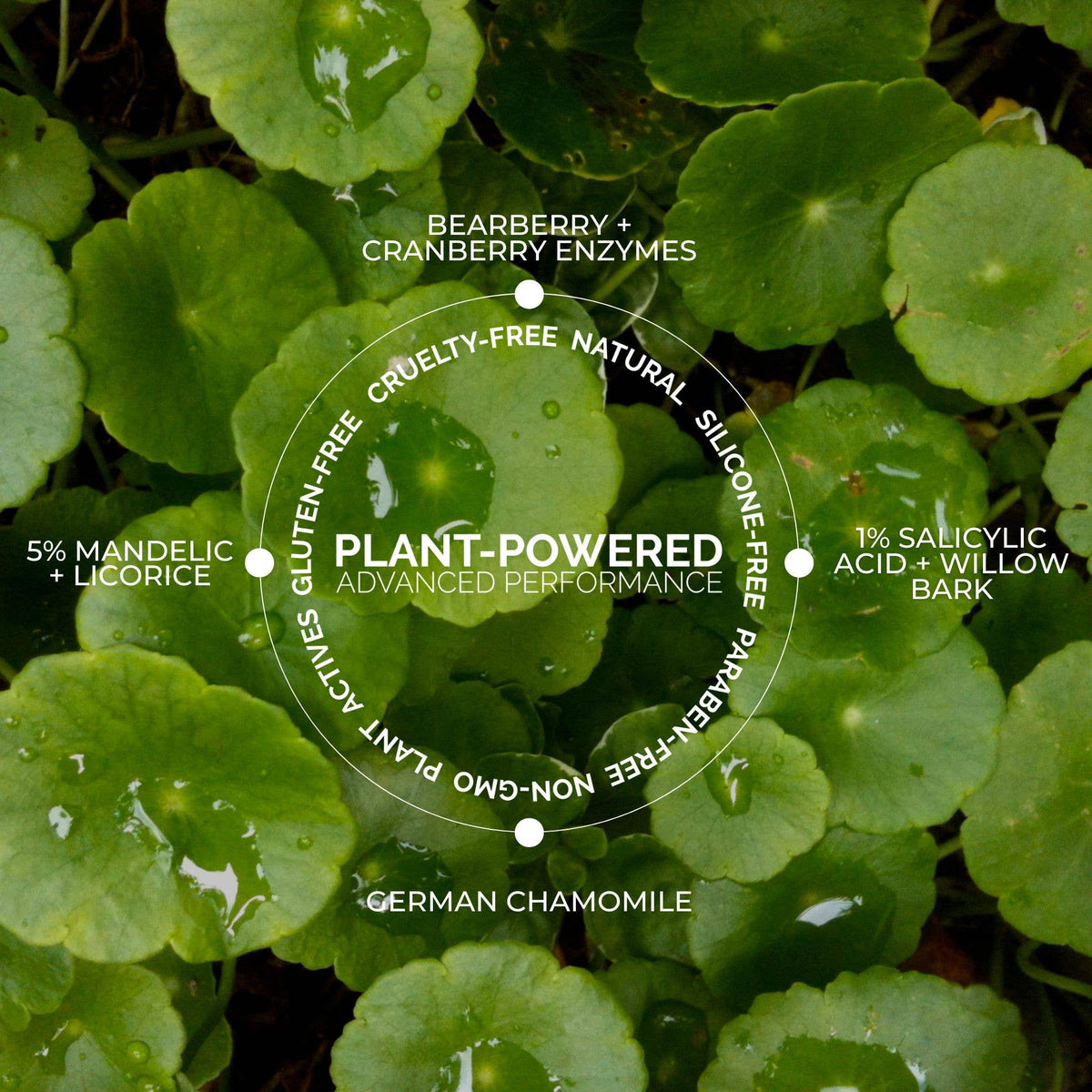 Fitglow Beauty - Plant Active Peel Pads