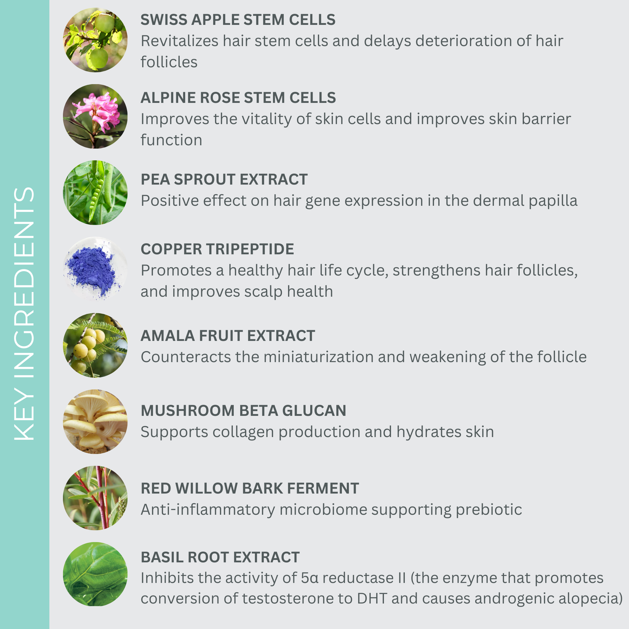 Better Roots RootBoost Serum